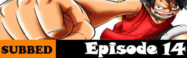 One Piece Episode 14 English Subbed