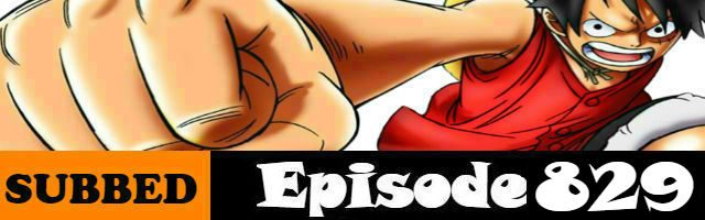 One Piece Episode 829 English Subbed